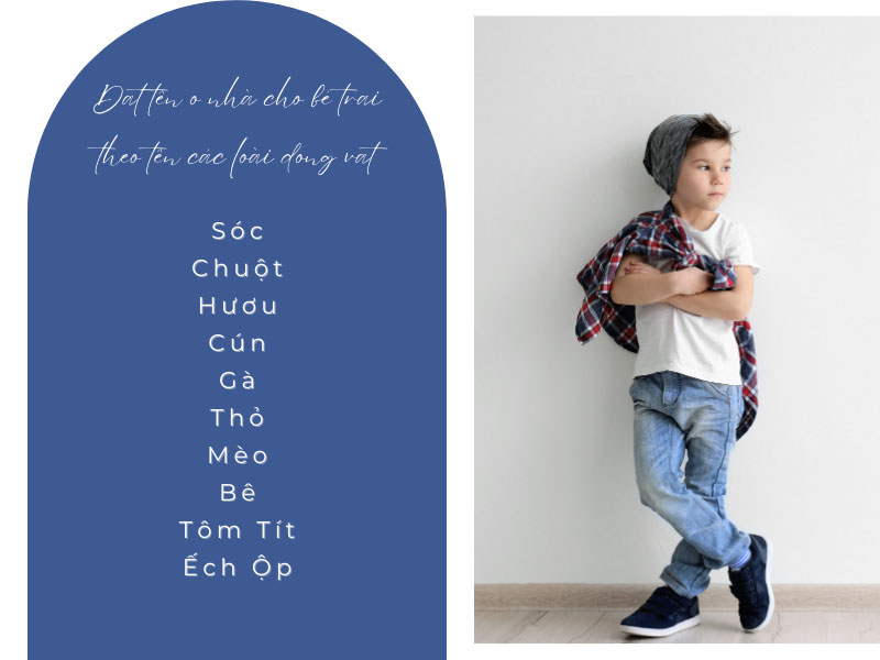 Đặt tên ở nhà cho bé trai theo tên các loài động vật