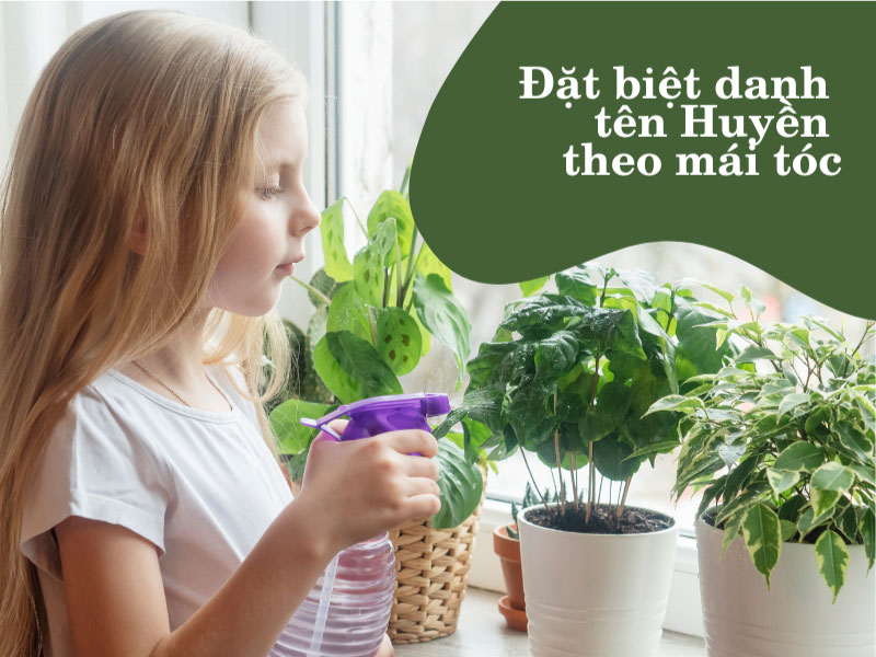 Đặt biệt danh theo mái tóc