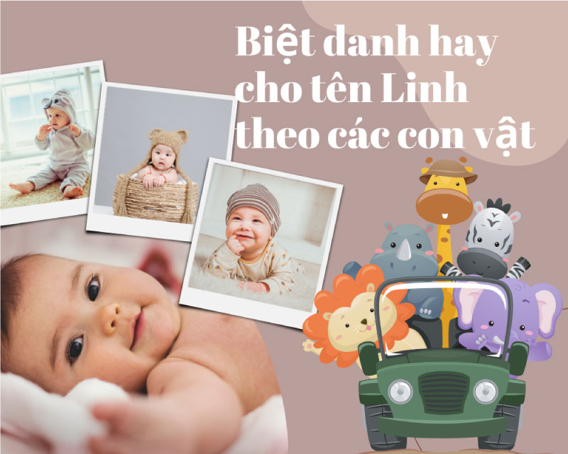 Biệt danh hay cho tên Linh theo các con vật
