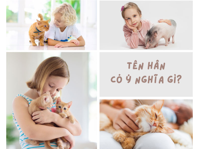 Tên Hân có nghĩa là gì?