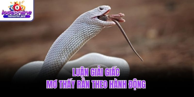 Luận giải giấc mơ thấy rắn theo hành động