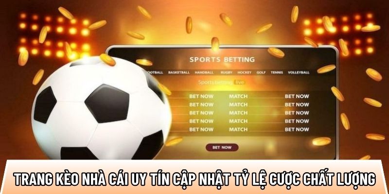 Trang kèo nhà cái uy tín cập nhật tỷ lệ cược chất lượng